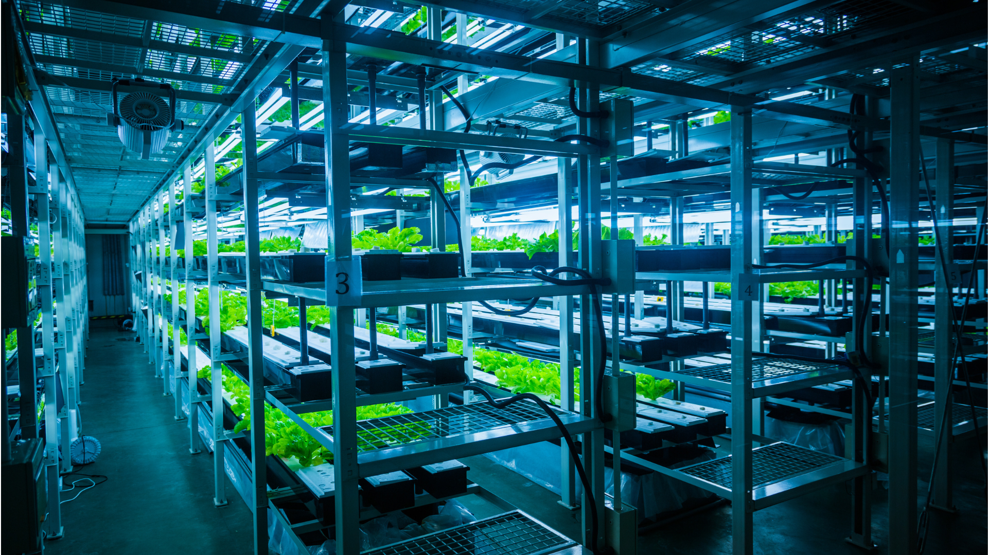 AI-Powered Indoor Farming—Closed-Loop Autonomous Climate and Nutrient Optimization